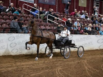 7 ADHHA Park Under Saddle